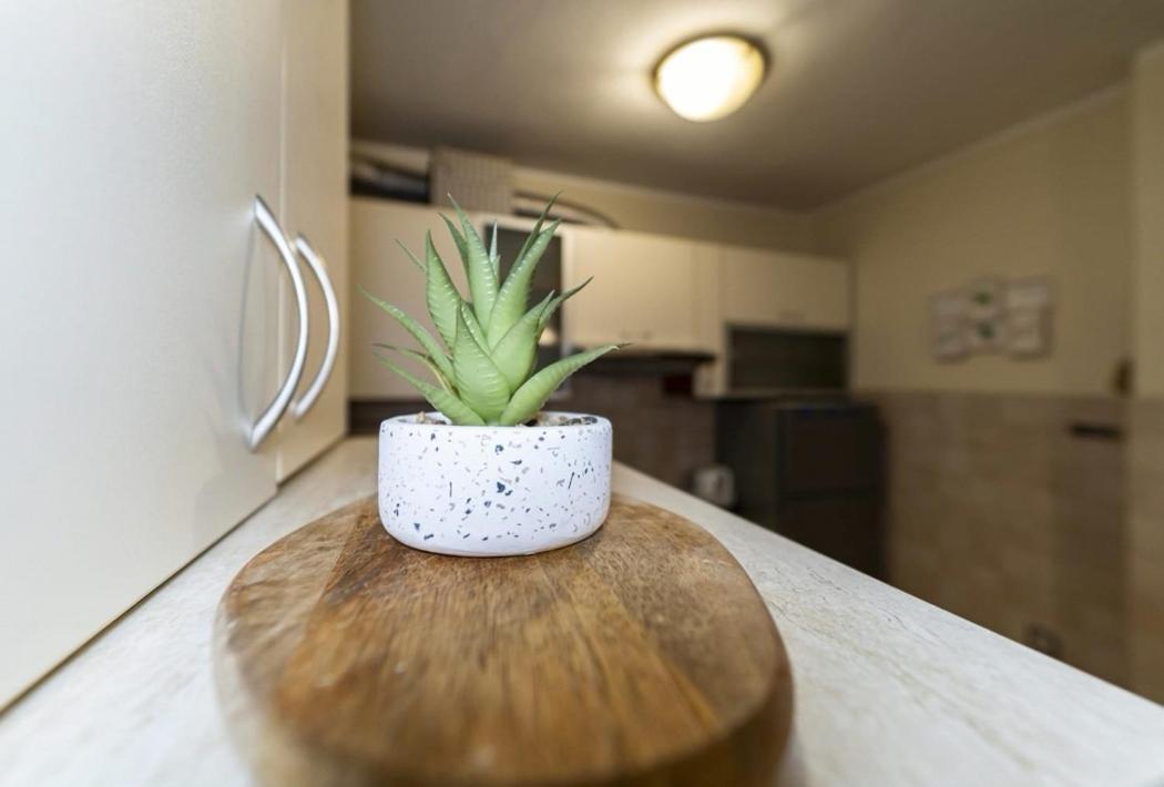 Meta Olive Apartment